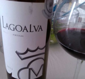 Lagoalva2013