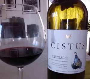 Cistus2013